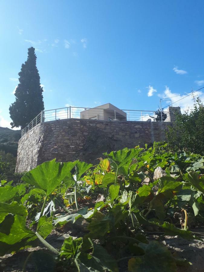 Villa Irini - Cretan Luxury Villa With Amazing View Paraspori  外观 照片
