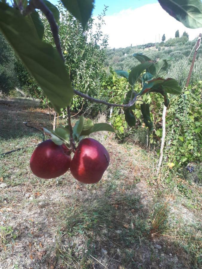 Villa Irini - Cretan Luxury Villa With Amazing View Paraspori  外观 照片