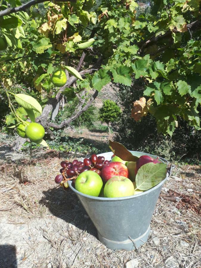 Villa Irini - Cretan Luxury Villa With Amazing View Paraspori  外观 照片